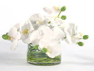White Orchids w/ Glass Swirl Accent