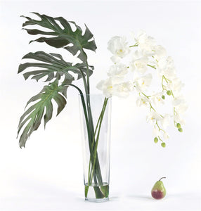 Split Leaves w/ White Orchid